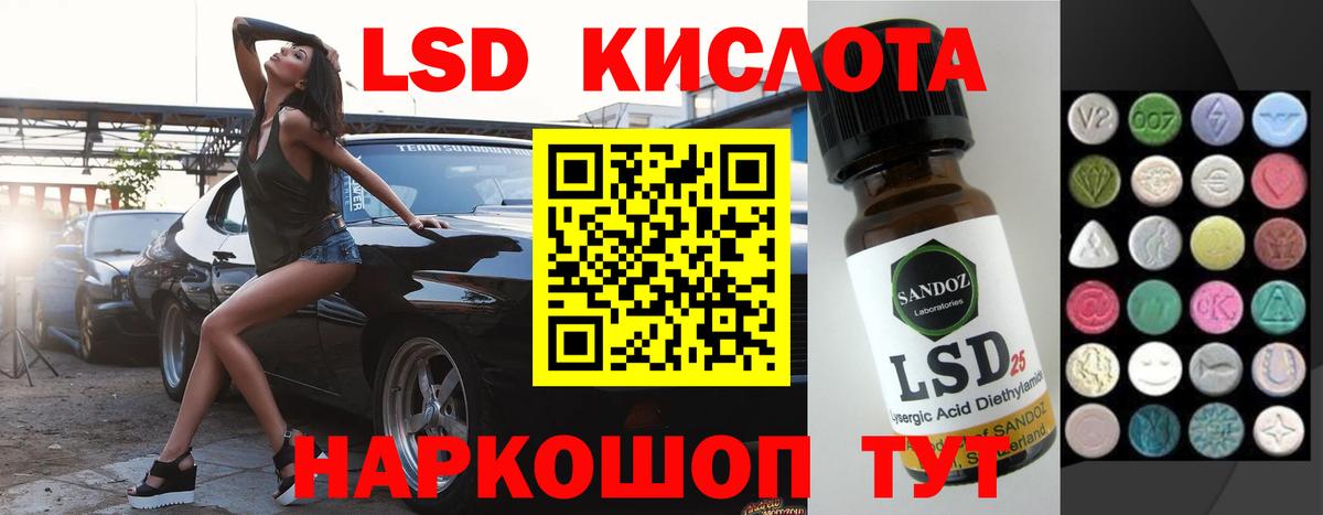 Псилоцибиновые грибы Канаш