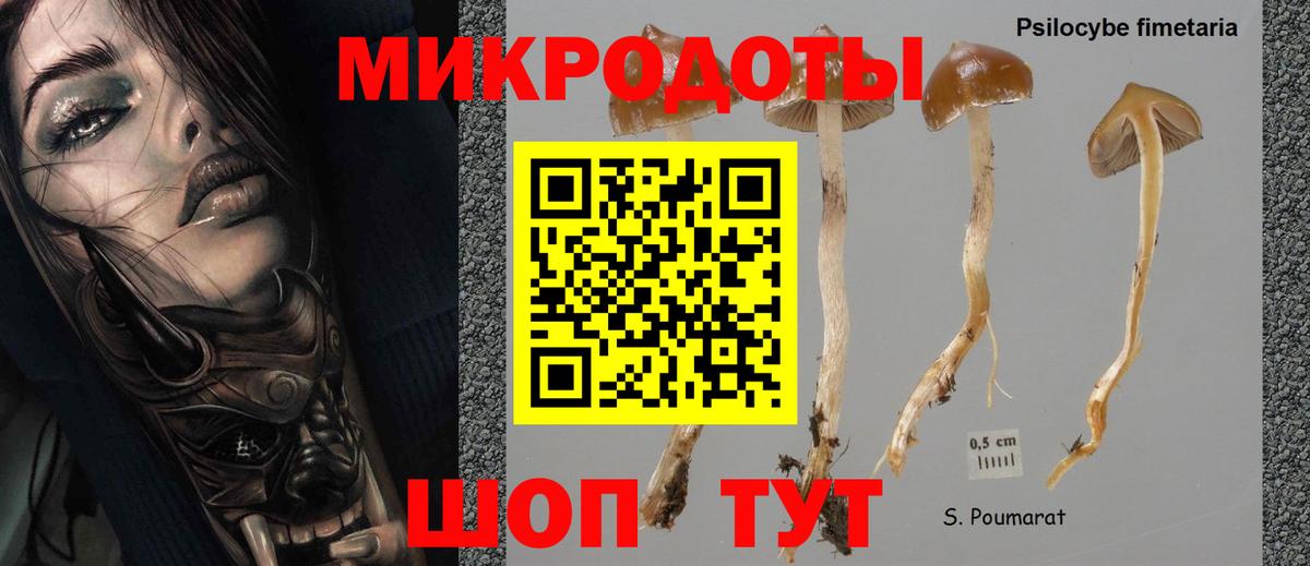 Галлюциногенные грибы ЛСД Канаш